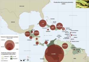 11-12-4_Agri-plantain_FR